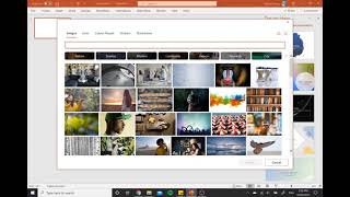 How To Use Design Ideas In Microsoft Powerpoint Xenontech   Mq2 34 